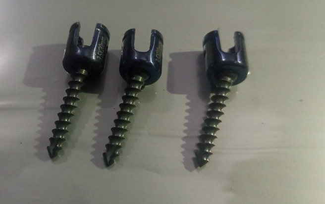 3.5mm polyAxial Little Mess Screws 12 to 22mm